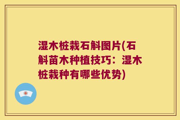 湿木桩栽石斛图片(石斛苗木种植技巧：湿木桩栽种有哪些优势)