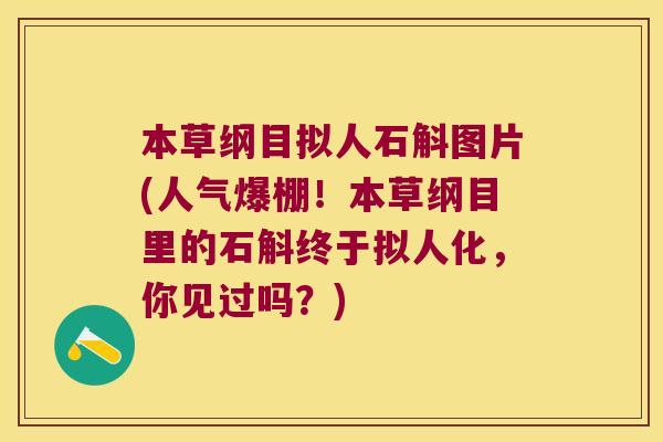 本草纲目拟人石斛图片(人气爆棚！本草纲目里的石斛终于拟人化，你见过吗？)