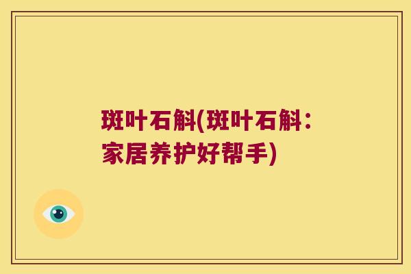 斑叶石斛(斑叶石斛：家居养护好帮手)