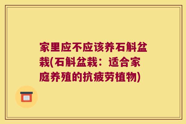 家里应不应该养石斛盆栽(石斛盆栽：适合家庭养殖的抗疲劳植物)