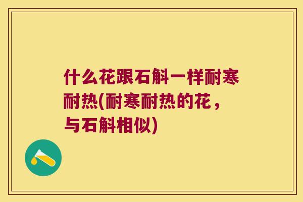 什么花跟石斛一样耐寒耐热(耐寒耐热的花，与石斛相似)