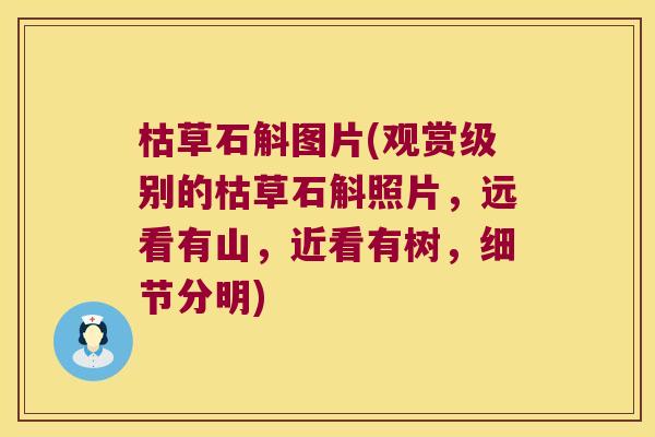 枯草石斛图片(观赏级别的枯草石斛照片,远看有山,近看有树,细节分明) 枯草石斛图片(观赏级别的枯草石斛照片,远看有山,近看有树,细节分明)