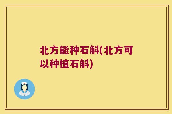 北方能种石斛(北方可以种植石斛)