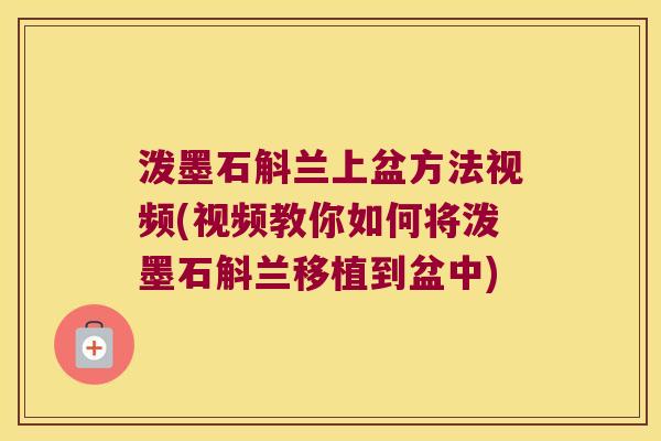 泼墨石斛兰上盆方法视频(视频教你如何将泼墨石斛兰移植到盆中) 泼墨石斛兰上盆方法视频(视频教你如何将泼墨石斛兰移植到盆中)