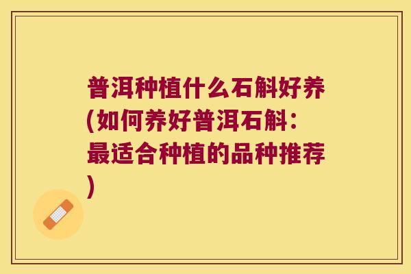 普洱种植什么石斛好养(如何养好普洱石斛：最适合种植的品种推荐)