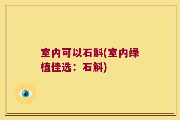 室内可以石斛(室内绿植佳选：石斛)