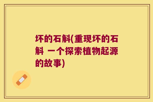 坏的石斛(重现坏的石斛 一个探索植物起源的故事)