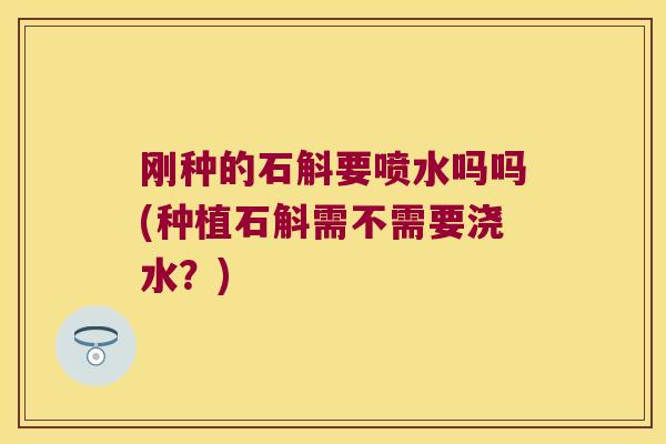 刚种的石斛要喷水吗吗(种植石斛需不需要浇水？)