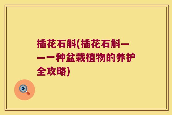 插花石斛(插花石斛——一种盆栽植物的养护全攻略)