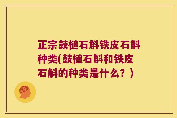 正宗鼓槌石斛铁皮石斛种类(鼓槌石斛和铁皮石斛的种类是什么？)