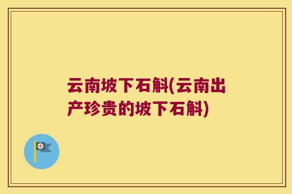云南坡下石斛(云南出产珍贵的坡下石斛)