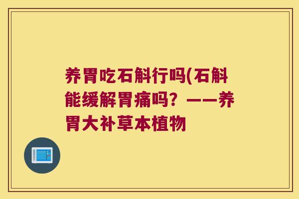 养胃吃石斛行吗(石斛能缓解胃痛吗？——养胃大补草本植物