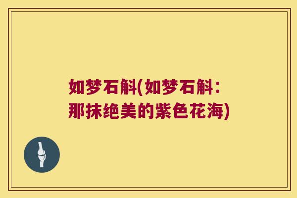 如梦石斛(如梦石斛：那抹绝美的紫色花海)