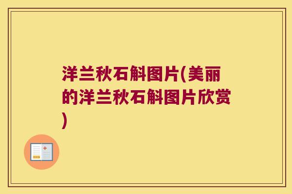 洋兰秋石斛图片(美丽的洋兰秋石斛图片欣赏)