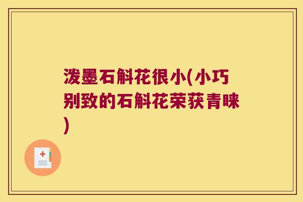 泼墨石斛花很小(小巧别致的石斛花荣获青睐)