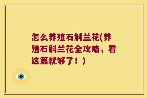 怎么养殖石斛兰花(养殖石斛兰花全攻略，看这篇就够了！)