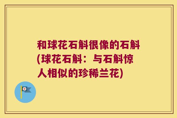 和球花石斛很像的石斛(球花石斛：与石斛惊人相似的珍稀兰花)