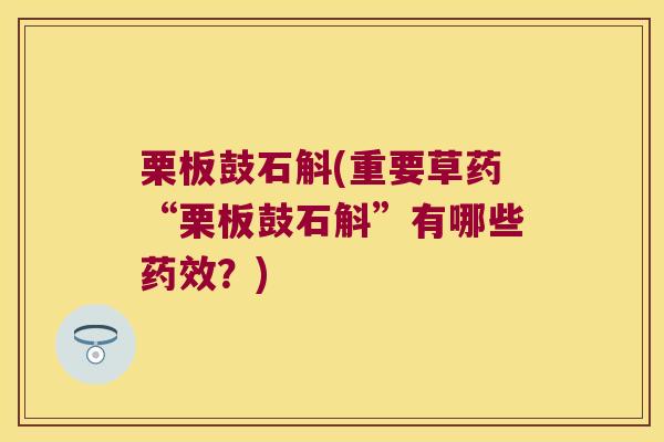 栗板鼓石斛(重要草药“栗板鼓石斛”有哪些药效？)