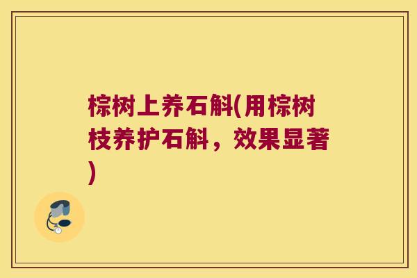 棕树上养石斛(用棕树枝养护石斛，效果显著)