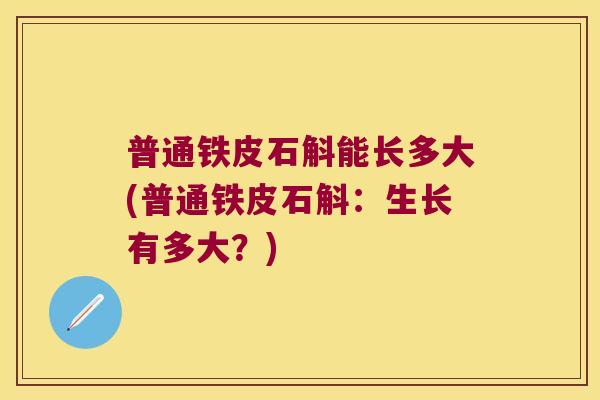 普通铁皮石斛能长多大(普通铁皮石斛：生长有多大？)