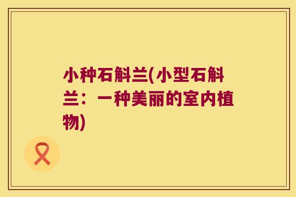 小种石斛兰(小型石斛兰：一种美丽的室内植物)