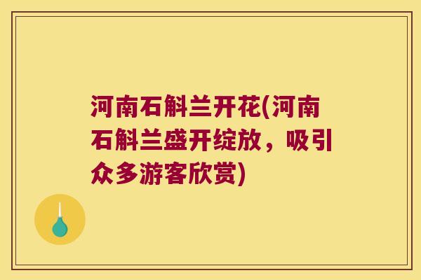 河南石斛兰开花(河南石斛兰盛开绽放，吸引众多游客欣赏)