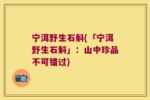 宁洱野生石斛(「宁洱野生石斛」:山中珍品不可错过) 宁洱野生石斛(「宁洱野生石斛」:山中珍品不可错过)