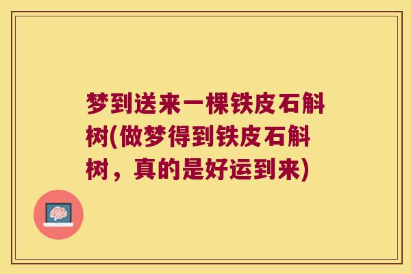 梦到送来一棵铁皮石斛树(做梦得到铁皮石斛树，真的是好运到来)