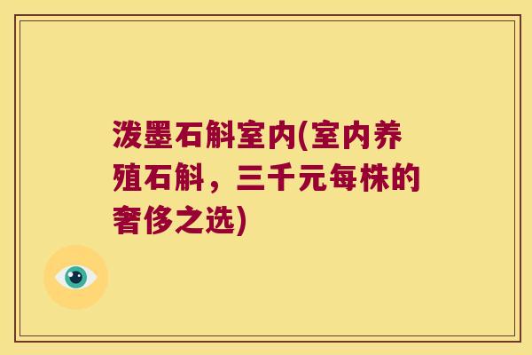 泼墨石斛室内(室内养殖石斛，三千元每株的奢侈之选)