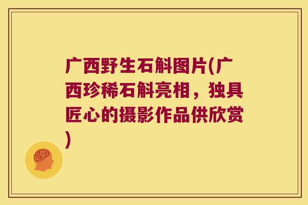广西野生石斛图片(广西珍稀石斛亮相，独具匠心的摄影作品供欣赏)