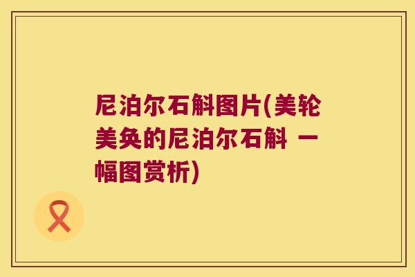 尼泊尔石斛图片(美轮美奂的尼泊尔石斛 一幅图赏析)