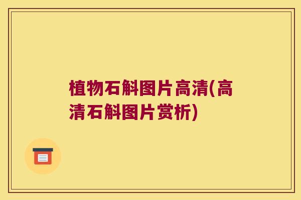 植物石斛图片高清(高清石斛图片赏析)