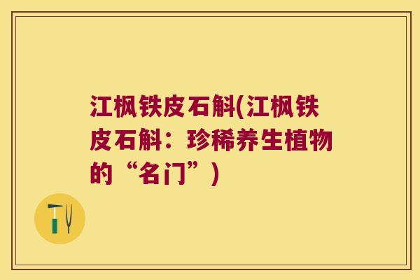 江枫铁皮石斛(江枫铁皮石斛：珍稀养生植物的“名门”)