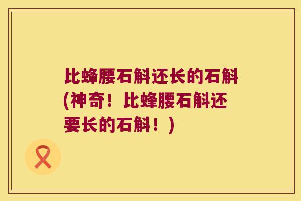 比蜂腰石斛还长的石斛(神奇！比蜂腰石斛还要长的石斛！)