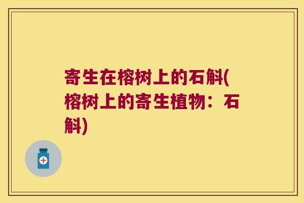 寄生在榕树上的石斛(榕树上的寄生植物：石斛)