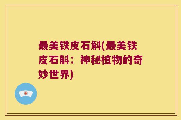 美铁皮石斛(美铁皮石斛：神秘植物的奇妙世界)