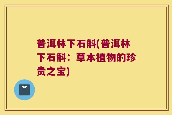 普洱林下石斛(普洱林下石斛：草本植物的珍贵之宝)