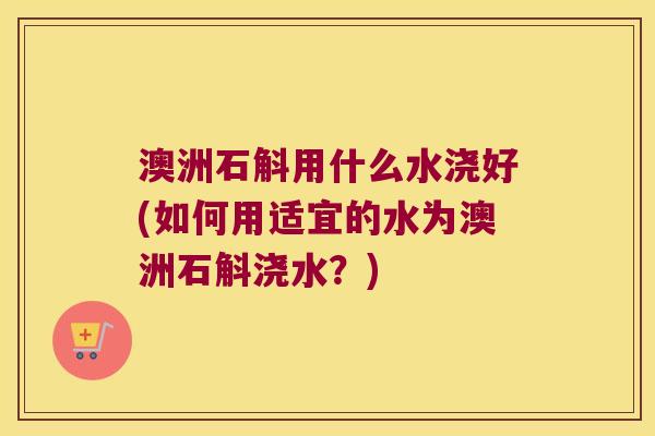 澳洲石斛用什么水浇好(如何用适宜的水为澳洲石斛浇水？)