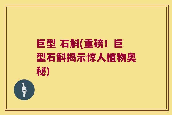 巨型 石斛(重磅！巨型石斛揭示惊人植物奥秘)