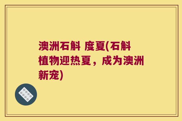 澳洲石斛 度夏(石斛植物迎热夏，成为澳洲新宠)