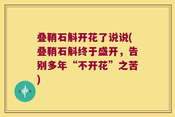 叠鞘石斛开花了说说(叠鞘石斛终于盛开，告别多年“不开花”之苦)