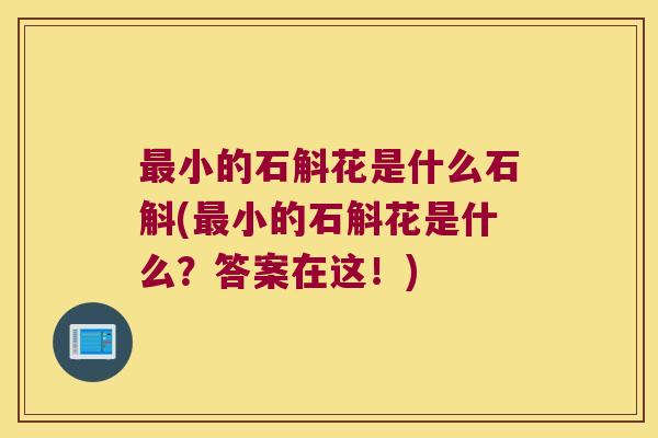 最小的石斛花是什么石斛(最小的石斛花是什么？答案在这！)