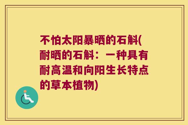 不怕太阳暴晒的石斛(耐晒的石斛：一种具有耐高温和向阳生长特点的草本植物)