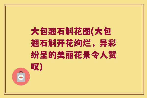 大包翘石斛花图(大包翘石斛开花绚烂，异彩纷呈的美丽花景令人赞叹)