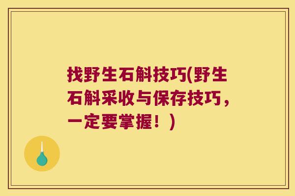 找野生石斛技巧(野生石斛采收与保存技巧，一定要掌握！)