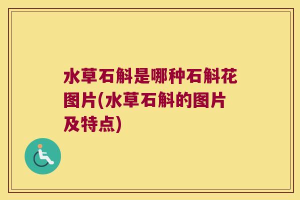 水草石斛是哪种石斛花图片(水草石斛的图片及特点)