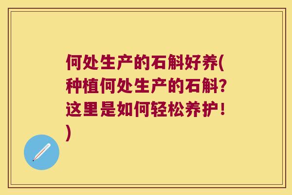 何处生产的石斛好养(种植何处生产的石斛？这里是如何轻松养护！)