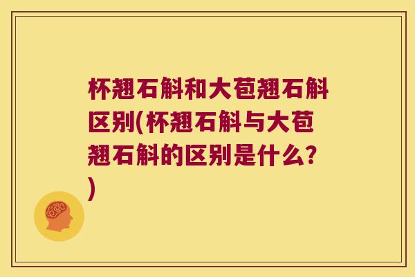 杯翘石斛和大苞翘石斛区别(杯翘石斛与大苞翘石斛的区别是什么？)