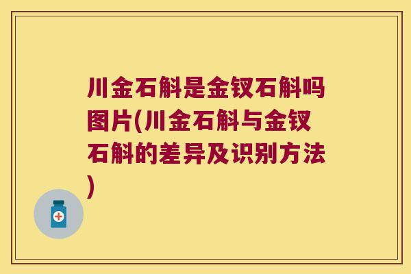 川金石斛是金钗石斛吗图片(川金石斛与金钗石斛的差异及识别方法)