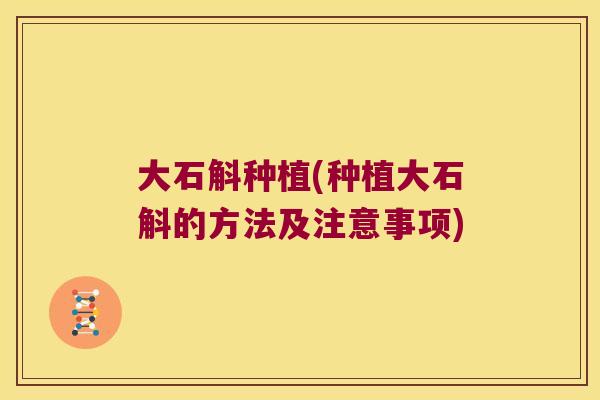 大石斛种植(种植大石斛的方法及注意事项)